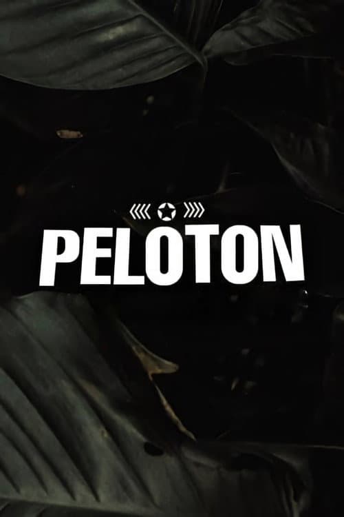 Poster di Pelotón