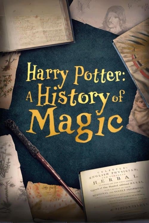 Poster di Harry Potter: A History Of Magic