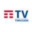Logo Timvision